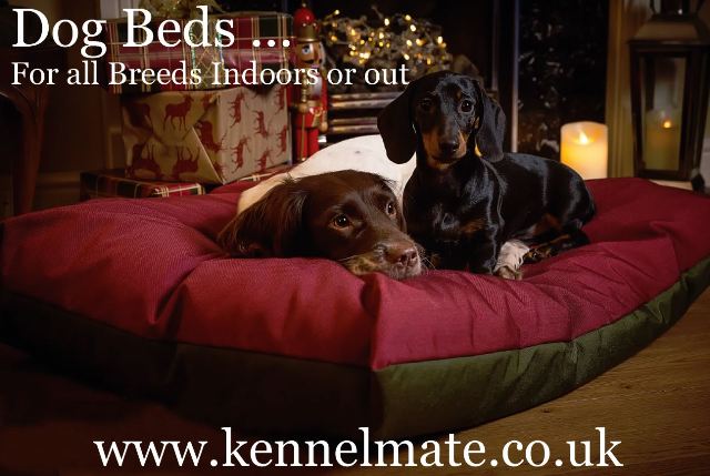 Kennelmate High Quality Dog Bed