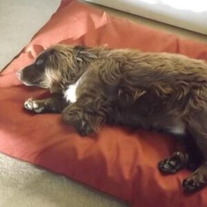 Large Fluted Mattress bed