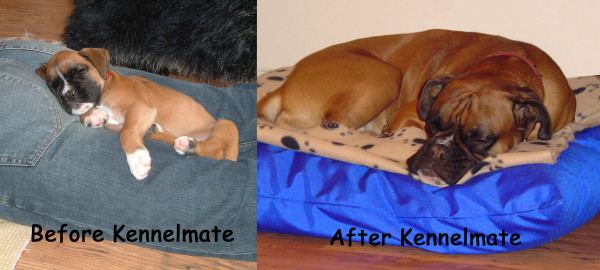 MEDIUM Dog Bed NEST - Image 7