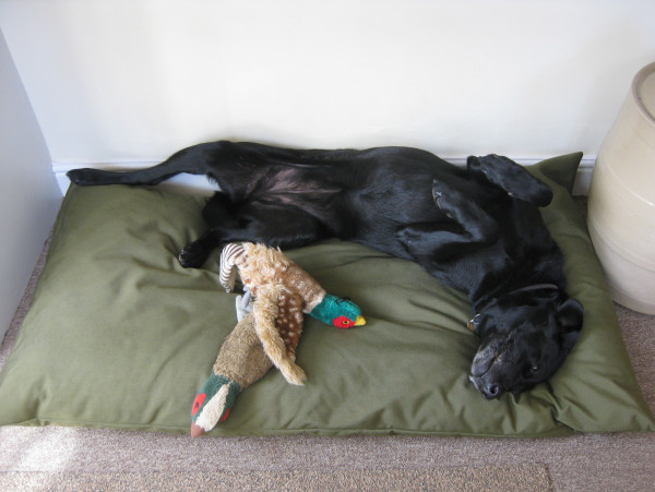 SLIMLINE Dog Bed NEST - Image 3