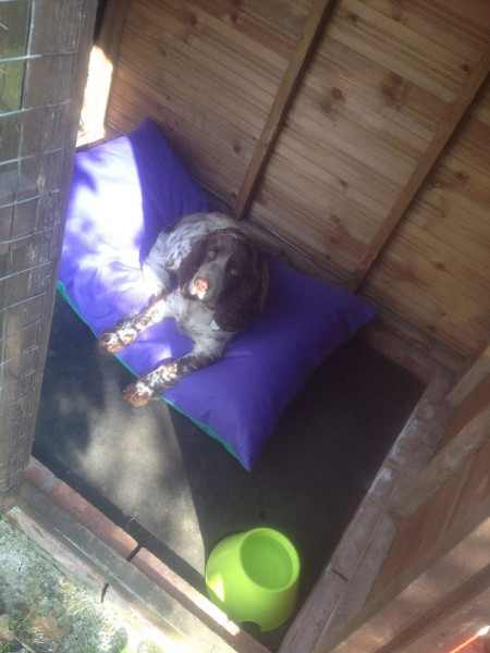 SLIMLINE Dog Bed NEST - Image 5