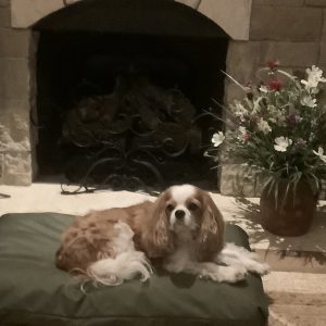 Medium Fluted Mattress bed