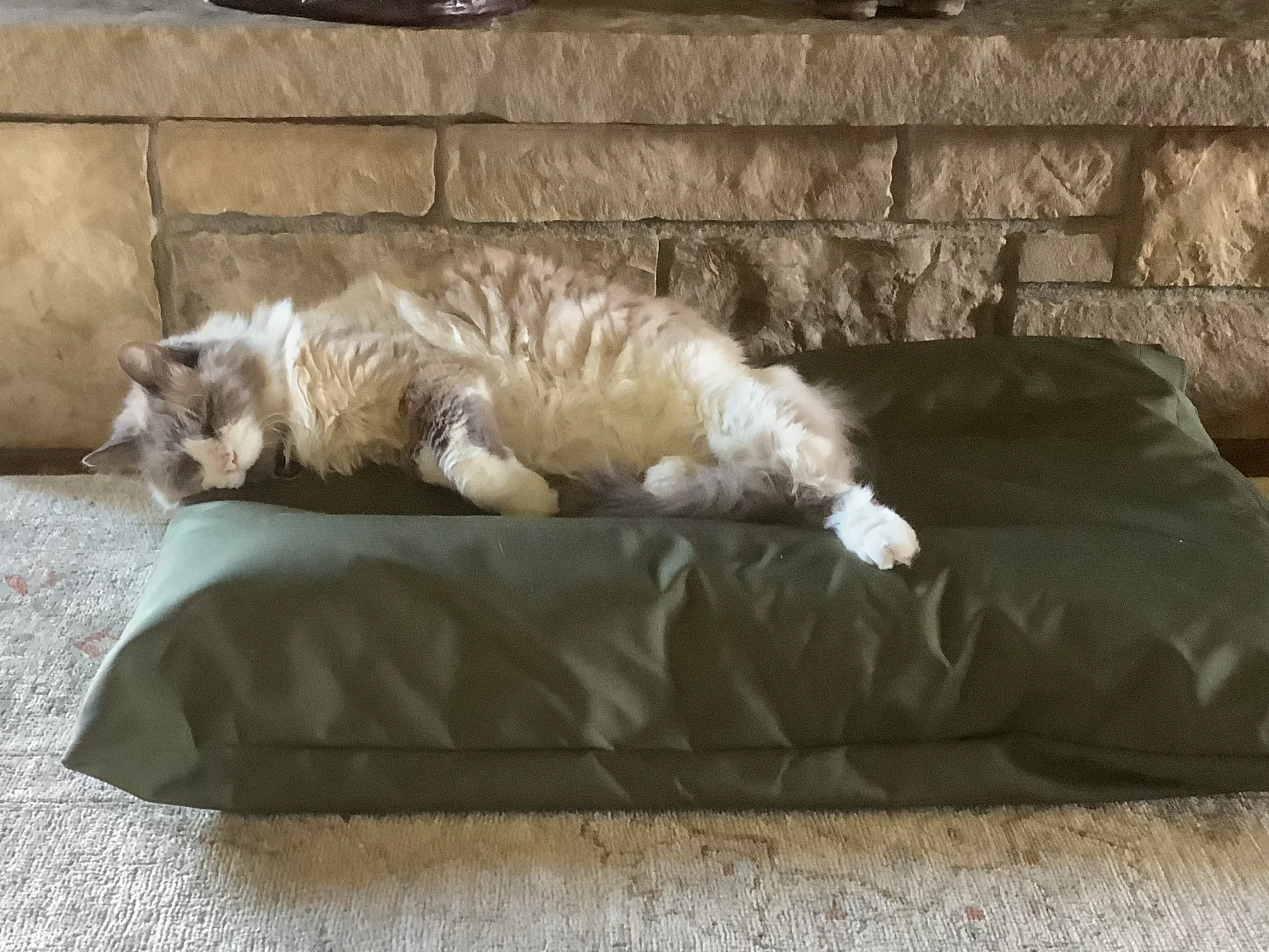 Medium Fluted Mattress bed - Spare Cover - Image 5