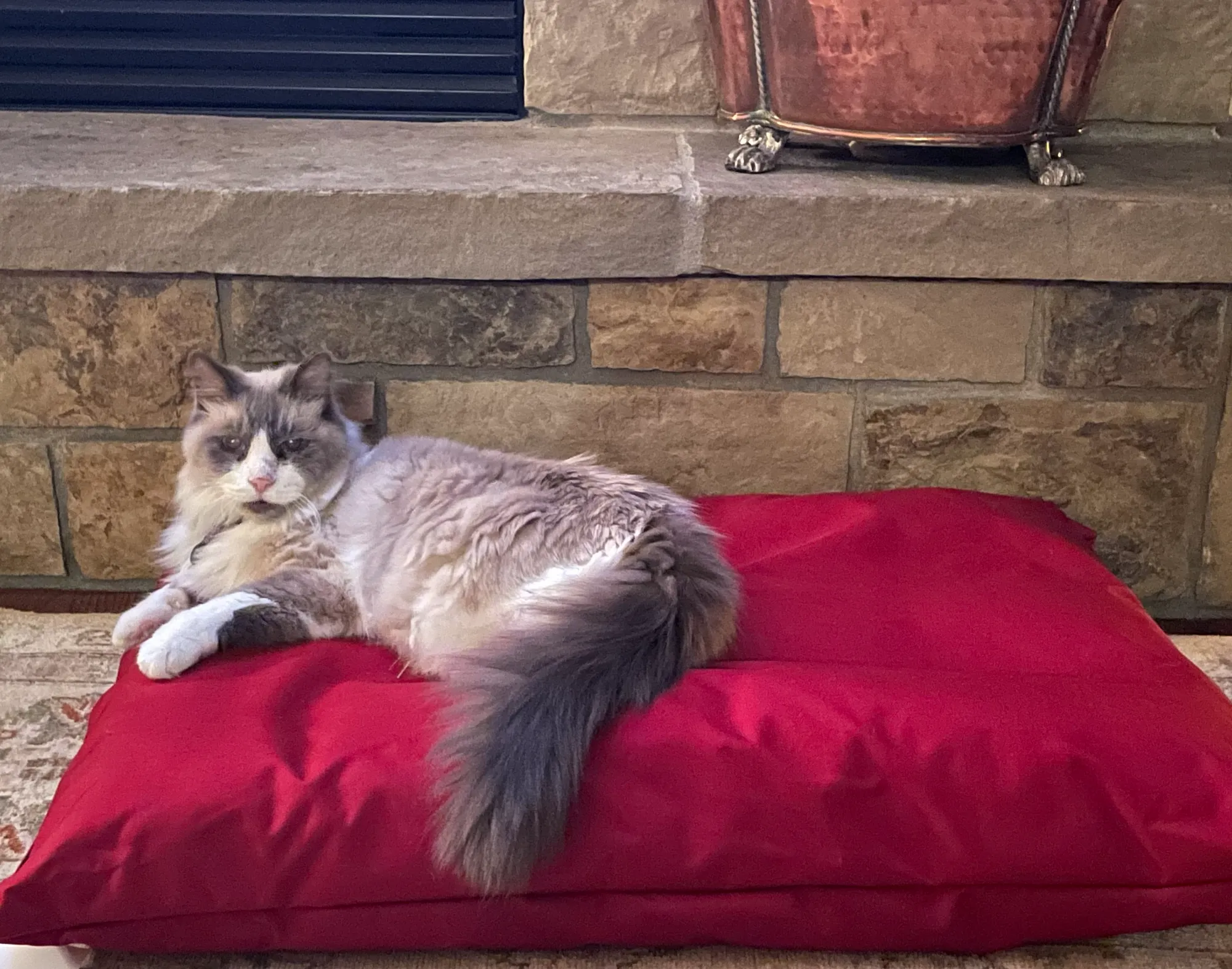 Medium Fluted Mattress bed - Spare Cover - Image 4