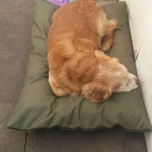 Medium Fluted Mattress bed