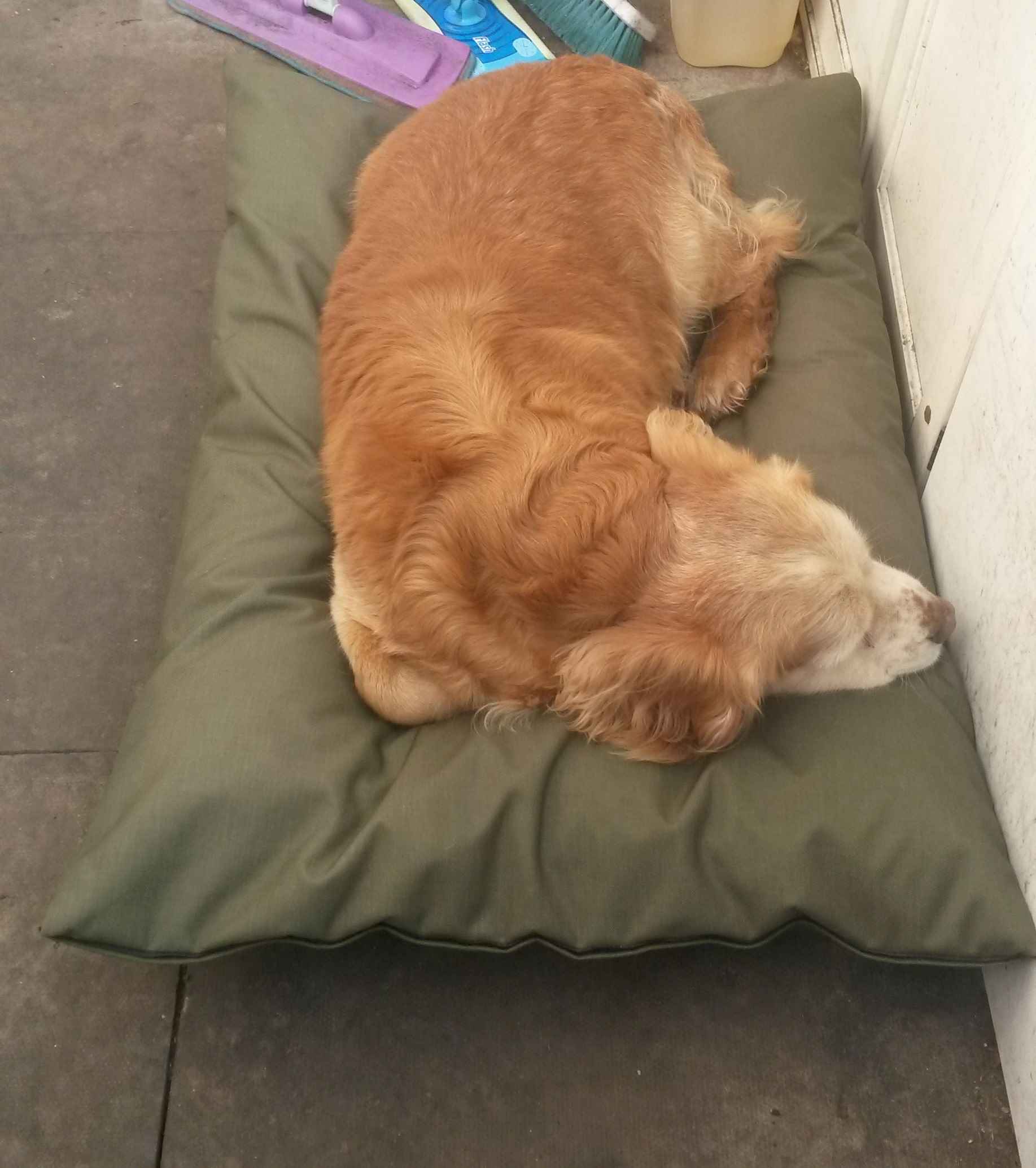 Medium Fluted Mattress bed - Spare Cover - Image 2