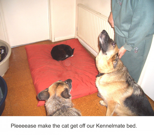LARGE Dog Bed NEST - Image 5