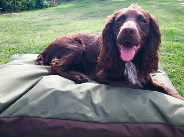 MEDIUM Dog Bed NEST - Image 3