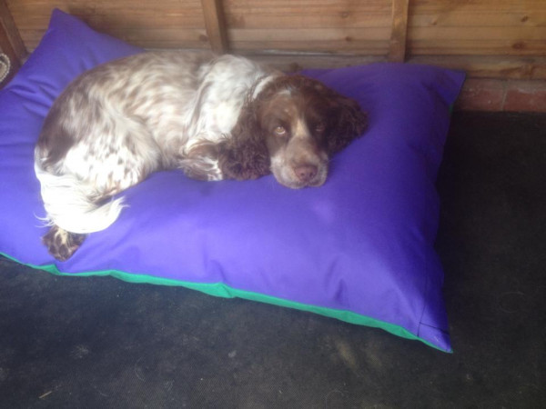 SLIMLINE Dog Bed NEST - Image 6