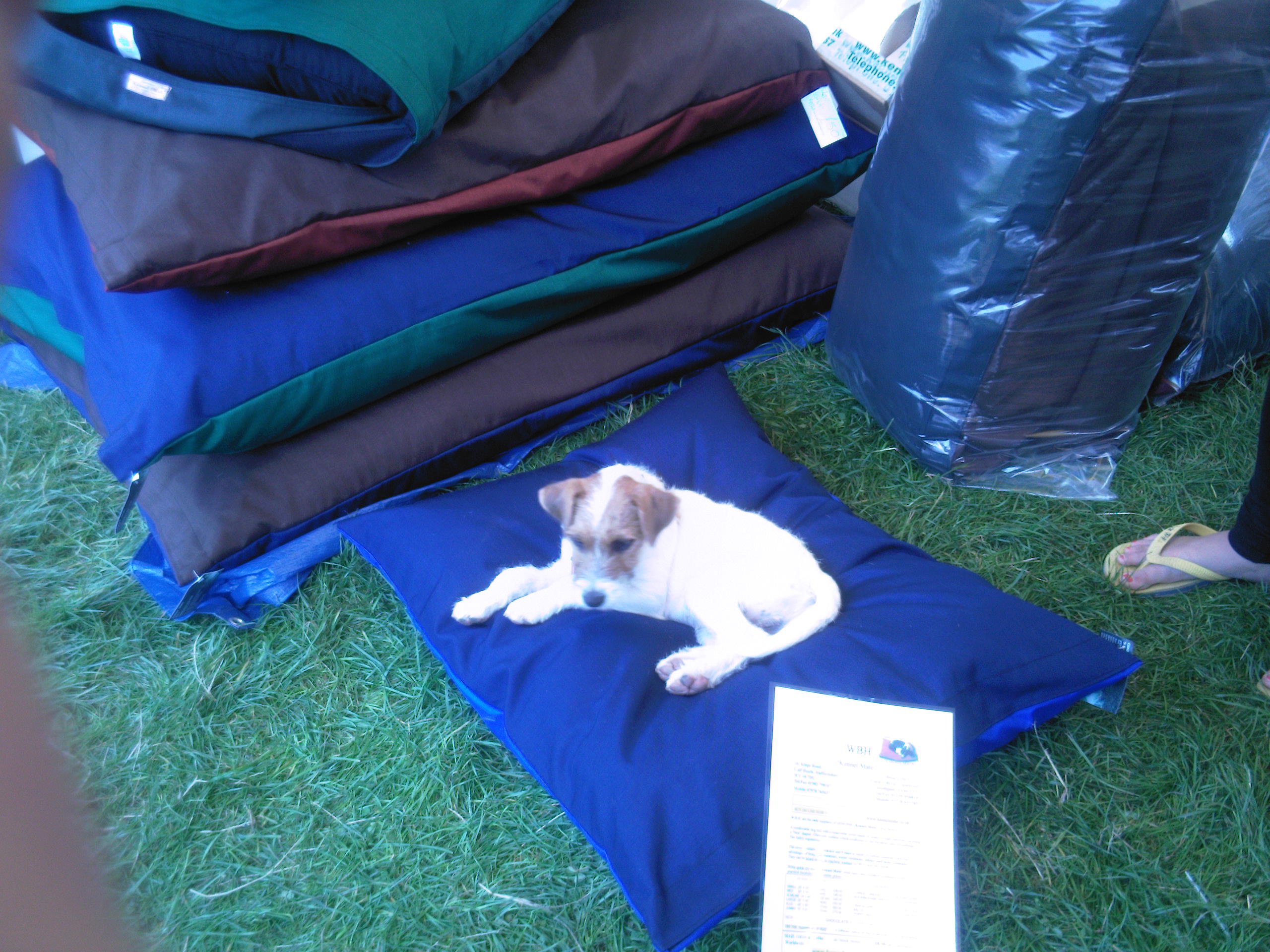 SMALL Dog Bed NEST - Spare Cover - Image 6